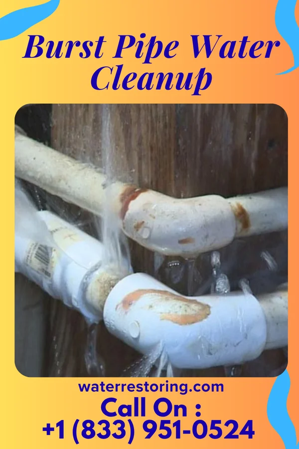 Burst Pipe Water Cleanup in Roanoke, IN