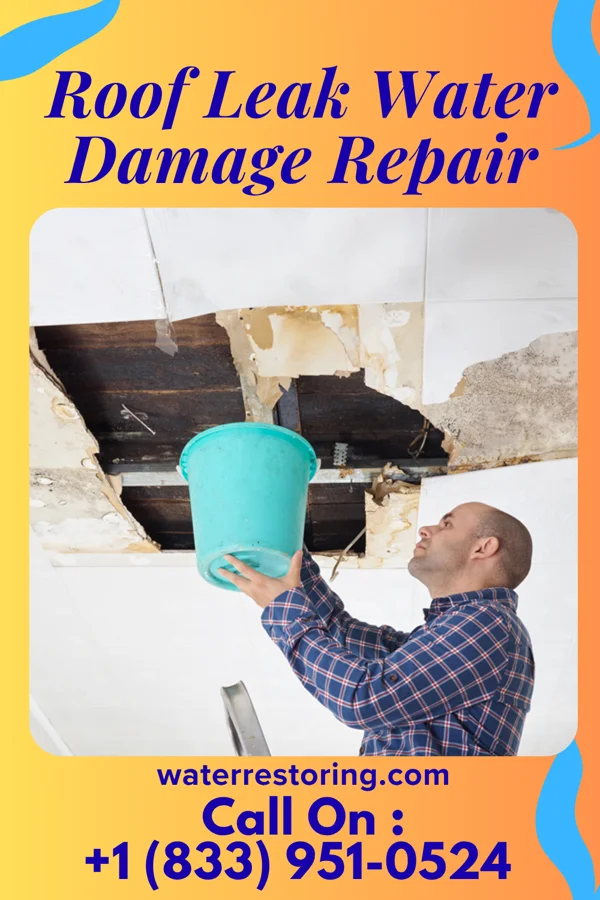 Roof Leak Water Damage Repair in Roanoke, IN