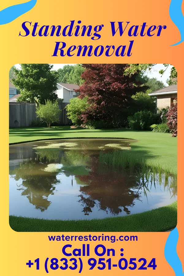 Standing Water Removal in Roanoke, IN